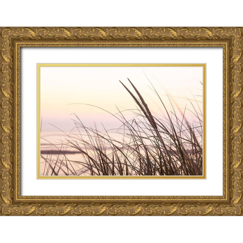 Cape Dune Morning Gold Ornate Wood Framed Art Print with Double Matting by Monkman, Jerry and Marcy