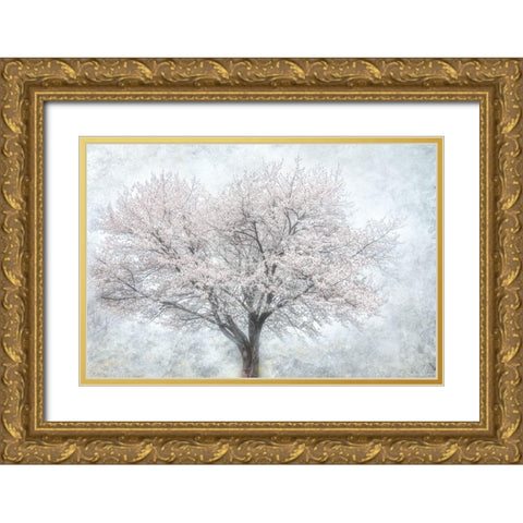 A Feel of Spring II Gold Ornate Wood Framed Art Print with Double Matting by Weisz, Irene