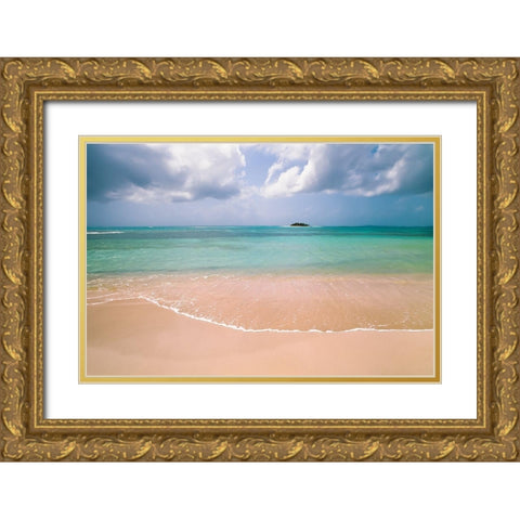 Clear Beach Gold Ornate Wood Framed Art Print with Double Matting by Foulke, Doug