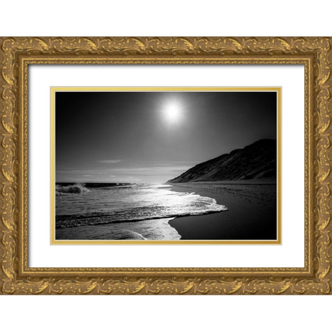 Against the Dune Gold Ornate Wood Framed Art Print with Double Matting by Foulke, Doug