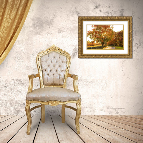 Maple Tree Drive Gold Ornate Wood Framed Art Print with Double Matting by Foulke, Doug