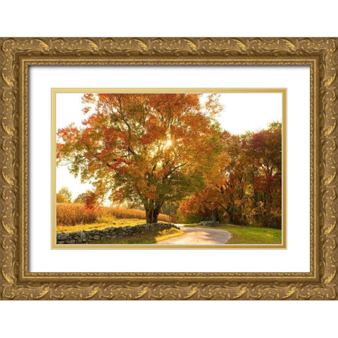 Maple Tree Drive Gold Ornate Wood Framed Art Print with Double Matting by Foulke, Doug