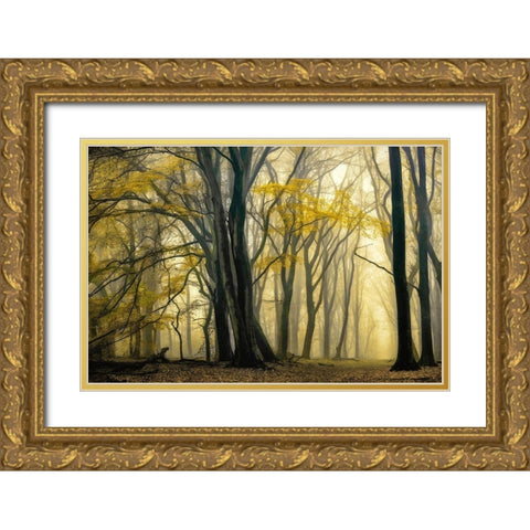 In Love with Golden Fall Gold Ornate Wood Framed Art Print with Double Matting by Van de Goor, Lars