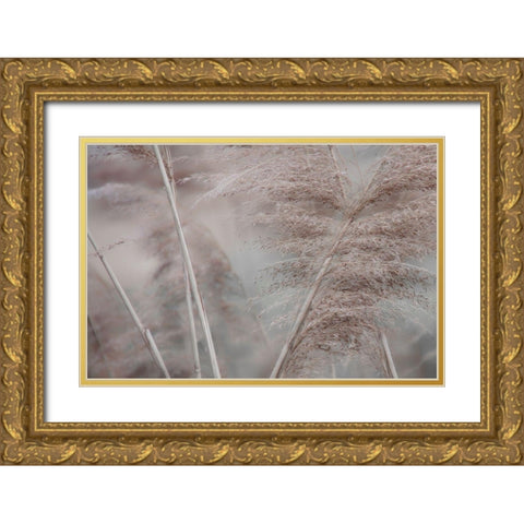 Pampas Field II Gold Ornate Wood Framed Art Print with Double Matting by Weisz, Irene
