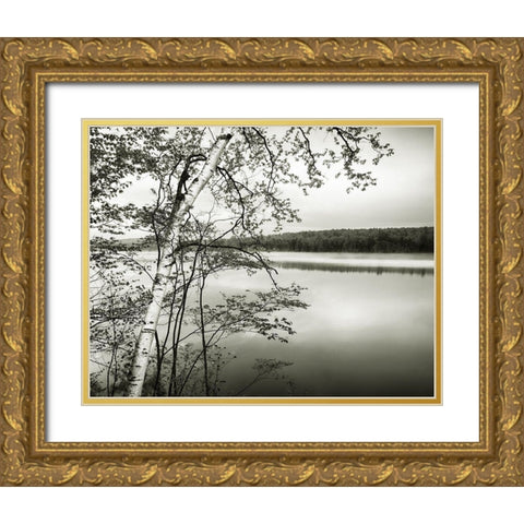 Adirondack Reflections Gold Ornate Wood Framed Art Print with Double Matting by Murray, Chris