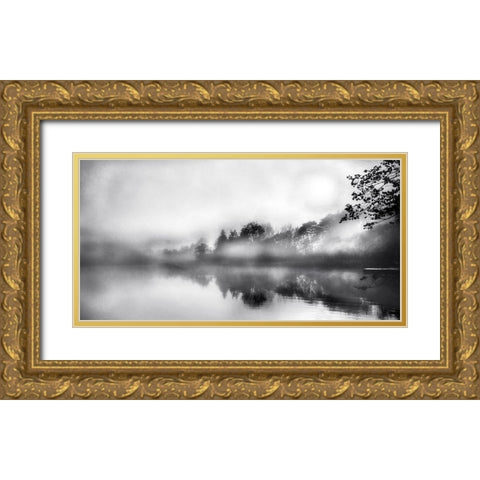 Soft Wonders Gold Ornate Wood Framed Art Print with Double Matting by Weisz, Irene