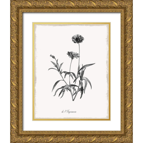 Simply Imperial Gold Ornate Wood Framed Art Print with Double Matting by Donovan, Kelly