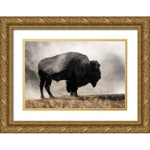 Geyser Basin Gold Ornate Wood Framed Art Print with Double Matting by Jones, Adam