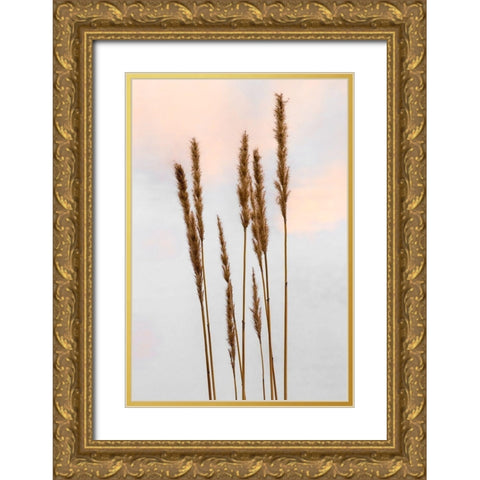 Sunset Pond I Gold Ornate Wood Framed Art Print with Double Matting by Jones, Adam