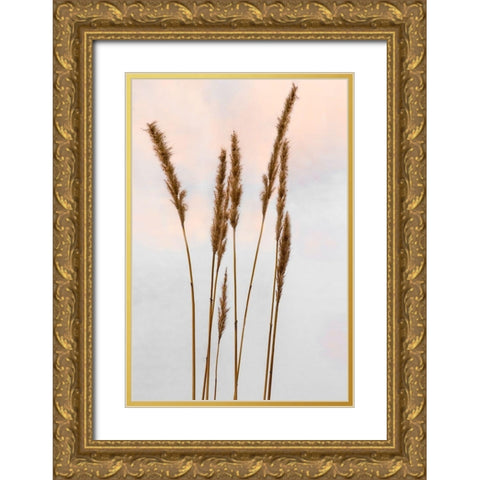Sunset Pond II Gold Ornate Wood Framed Art Print with Double Matting by Jones, Adam
