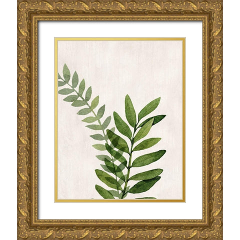 Botanical Wash II Gold Ornate Wood Framed Art Print with Double Matting by Knutsen, Conrad