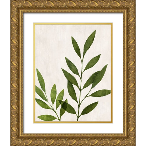 Botanical Wash IV Gold Ornate Wood Framed Art Print with Double Matting by Knutsen, Conrad
