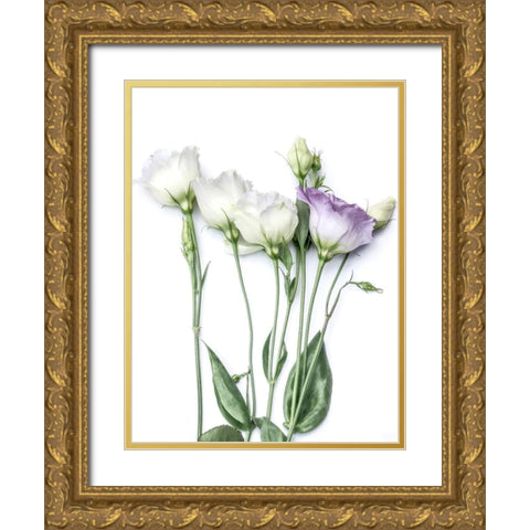 Moderne Jardin I Gold Ornate Wood Framed Art Print with Double Matting by Weisz, Irene