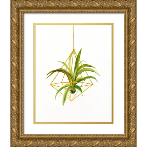 Hanging Airplant I Gold Ornate Wood Framed Art Print with Double Matting by Nan