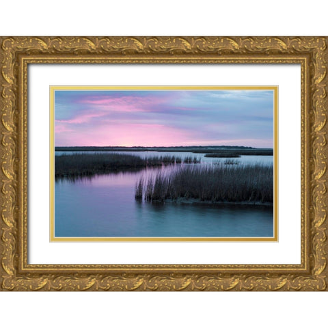 Espiritu Santo Gold Ornate Wood Framed Art Print with Double Matting by Pryor-Luzier, Maresa
