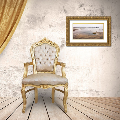 Scripps Pier Gold Ornate Wood Framed Art Print with Double Matting by Hawkins, Peter