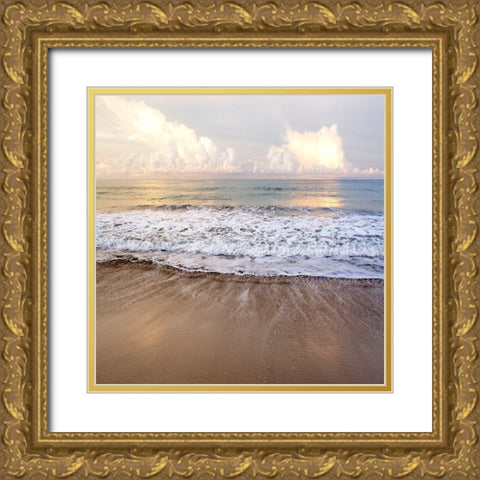 South China Sea Gold Ornate Wood Framed Art Print with Double Matting by Delimont, Danita