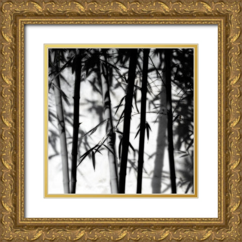 Bamboo Shadows Gold Ornate Wood Framed Art Print with Double Matting by Delimont, Danita