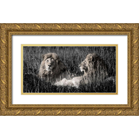Mara Lions Gold Ornate Wood Framed Art Print with Double Matting by Jones, Alison