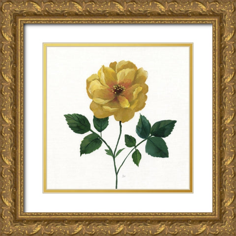 Simple Botanical III Gold Ornate Wood Framed Art Print with Double Matting by Nan