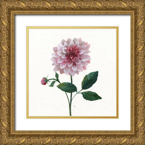 Simple Botanical IV Gold Ornate Wood Framed Art Print with Double Matting by Nan