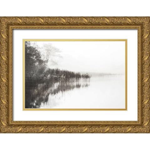 Taupe Misty Gold Ornate Wood Framed Art Print with Double Matting by Weisz, Irene