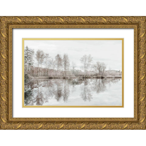 Taupe Water Mirror Gold Ornate Wood Framed Art Print with Double Matting by Weisz, Irene