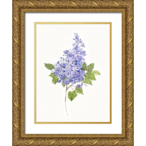 Dainty Botanical Lilac Gold Ornate Wood Framed Art Print with Double Matting by Swatland, Sally