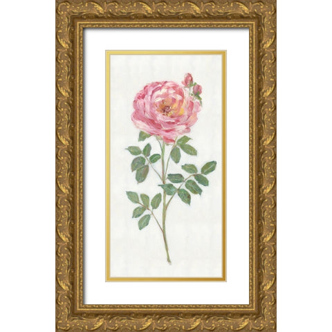 Single Stem I Gold Ornate Wood Framed Art Print with Double Matting by Swatland, Sally