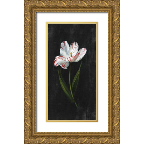 Master Botanical I Gold Ornate Wood Framed Art Print with Double Matting by Nan