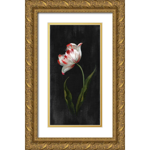 Master Botanical II Gold Ornate Wood Framed Art Print with Double Matting by Nan