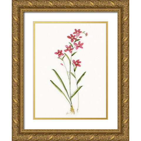 Delicate Pink I Gold Ornate Wood Framed Art Print with Double Matting by Swatland, Sally