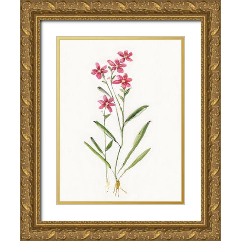 Delicate Pink II Gold Ornate Wood Framed Art Print with Double Matting by Swatland, Sally