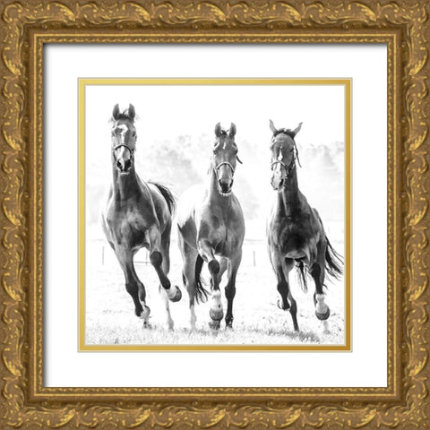 Running Herd Gold Ornate Wood Framed Art Print with Double Matting by Van de Goor, Lars