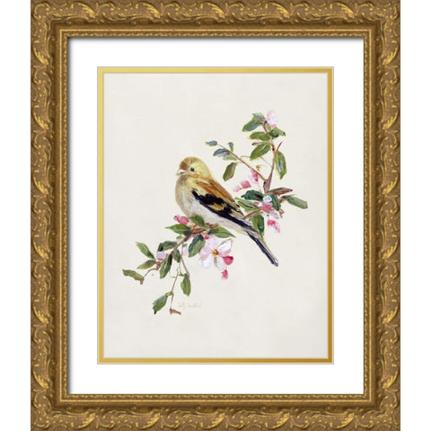 Spring Song Pine Grosbeak Gold Ornate Wood Framed Art Print with Double Matting by Swatland, Sally