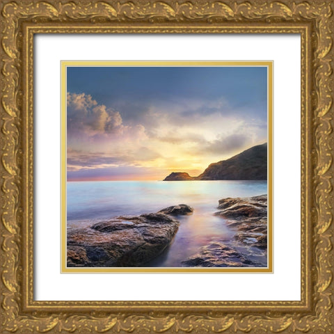 Cove Twilight Gold Ornate Wood Framed Art Print with Double Matting by Calascibetta, Mike