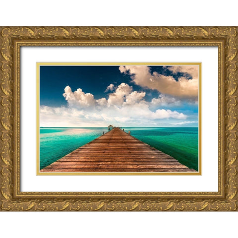 Tropic Blues Gold Ornate Wood Framed Art Print with Double Matting by Calascibetta, Mike