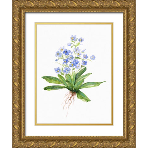 Garden Botanical I Gold Ornate Wood Framed Art Print with Double Matting by Swatland, Sally