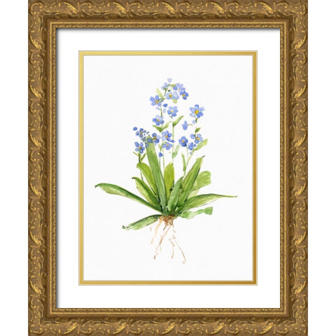 Garden Botanical II Gold Ornate Wood Framed Art Print with Double Matting by Swatland, Sally