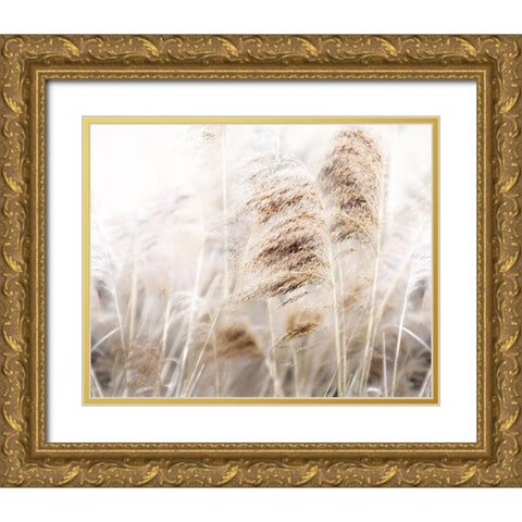 Soft Pampas Gold Ornate Wood Framed Art Print with Double Matting by Weisz, Irene
