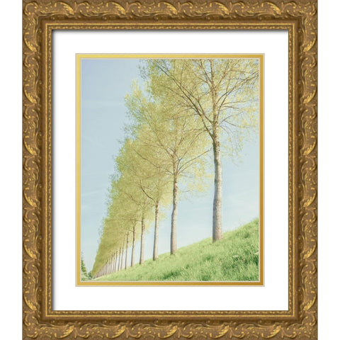 Endless Gold Ornate Wood Framed Art Print with Double Matting by Van de Goor, Lars