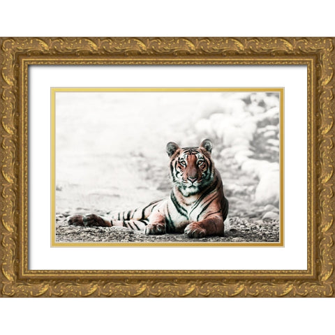 Jungle Bengal Gold Ornate Wood Framed Art Print with Double Matting by Rajput, Jagdeep