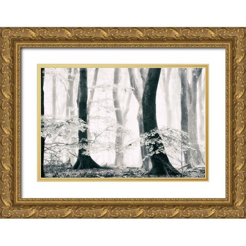 Silence of the Forest Gold Ornate Wood Framed Art Print with Double Matting by Van de Goor, Lars