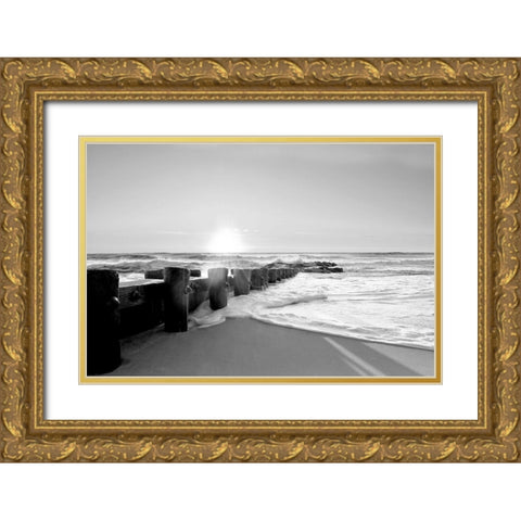 Shifting Shore Gold Ornate Wood Framed Art Print with Double Matting by Carpentieri, Natalie