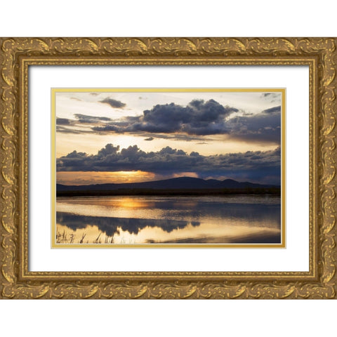 Twilight Symphony Gold Ornate Wood Framed Art Print with Double Matting by Delimont, Danita