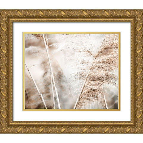 Soft Pampas Breeze Gold Ornate Wood Framed Art Print with Double Matting by Weisz, Irene
