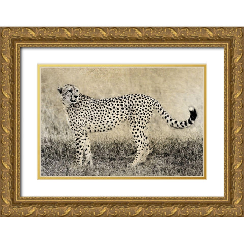 Camouflage Gold Ornate Wood Framed Art Print with Double Matting by Jaynes, William D.