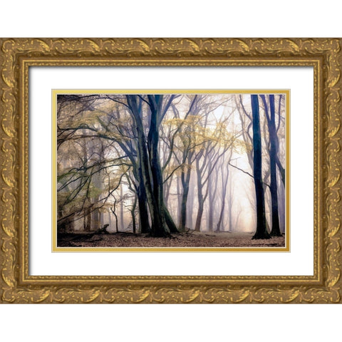 Fall Softly Gold Ornate Wood Framed Art Print with Double Matting by Van de Goor, Lars