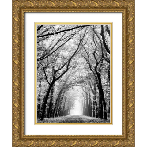 Cathedral Forest Gold Ornate Wood Framed Art Print with Double Matting by Van de Goor, Lars