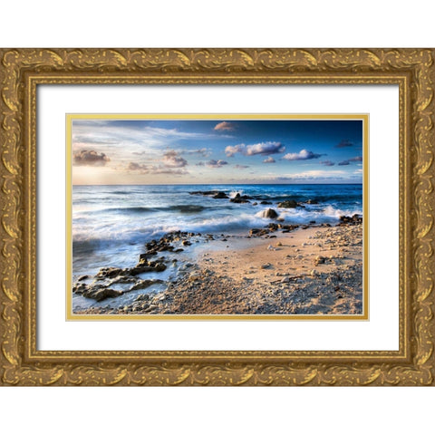 Island Waves Gold Ornate Wood Framed Art Print with Double Matting by Delimont, Danita